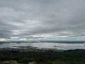 Motupohue and Foveaux walk