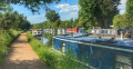 Boathouses on the Grand Union Canal