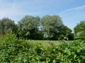Bocage Bocage