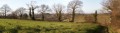 Bocage