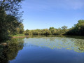 Boire de la Rompure à Drain