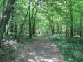 Chemin des Larrons à Cousolre