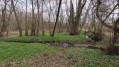 Bois d'Alix