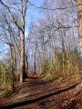 Vauboyen, le Bois de Bel-Air et le Bois de Montéclin