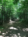 bois de bellefond