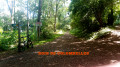 Bois de Colombelles