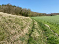 La sente des landes depuis Lalande-en-Son