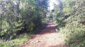 Bois de l'Eouvière