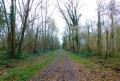 Bois de la Bondue