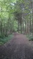 Bois de La Petite Bonneville
