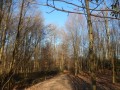 En forêt de Retz Le Rond de Chatillon En forêt de Retz Le Rond de Chatillon