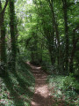 Bois de la Tourelle Bois de la Tourelle