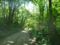 bois de Maincourt.