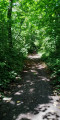 Bois de Mont