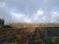 Les hauts sous-bois de Bouvigny-Boyeffles depuis la grande antenne