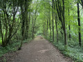 Boucle par les bois de Noyelle et de l'Infière en Val de Marque