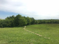 Bois de Verrières — Point de vue de la Batterie de la Châtaigneraie