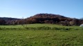 Bois des Grais Bois des Grais
