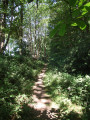 Bois des Korrigans