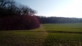 De Saint-Mard à Meaux par les buttes-témoins de la Goële