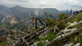 Montagne de Robion par la Chapelle Saint-Trophime