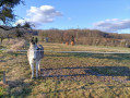 Collines autour de Hagenthal-le-Haut