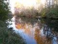Bord de Charente