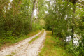 Bord de Charente