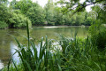 Bord de Charente