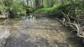 bord de l'eau