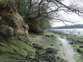 Bord de l'Odet