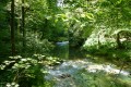 Les Gorges de Nouailles et la Source de la Loue Les Gorges de Nouailles et la Source de la Loue