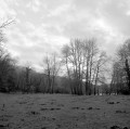Bord de Meuse