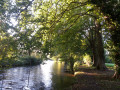 Bord de Risle près du château la Motte Bord de Risle près du château la Motte