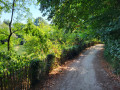 Bank of the Sarthe