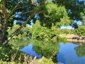 Bord de Sarthe