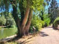 Autour du Boulevard Nature : de l'Île aux Planches au Gué-de-Maulny