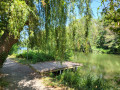 Bord de Sarthe