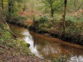 Bord du Goyen
