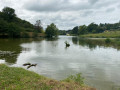 Le Lac de Saint-Pée