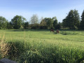 bord du ruisseau Vesgre