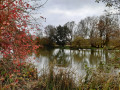 Bords de Charente