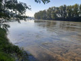 Bords de Garonne