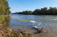 Bords de Garonne
