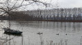 Bords de Saône