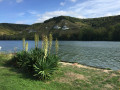 Bords de Seine à Poses