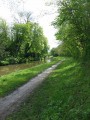 Bords du canal