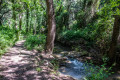 Bords du ruisseau Bords du ruisseau
