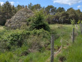 Boucle sur les hauteurs de Cabris Boucle sur les hauteurs de Cabris