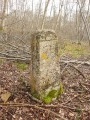 Des Etangs de Commelles à la Forêt de Coye